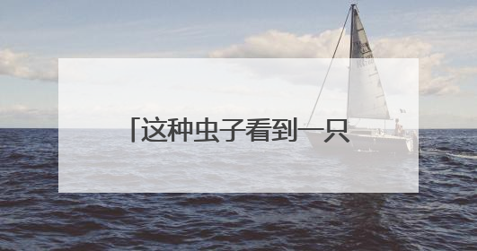 这种虫子看到一只家里很可能有一万只，除虫攻略→