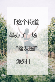 这个街道举办了一场“盆友圈”派对