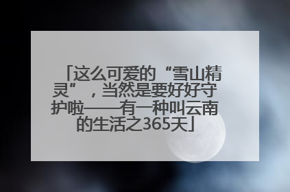 这么可爱的“雪山精灵”，当然是要好好守护啦——有一种叫云南的生活之365天