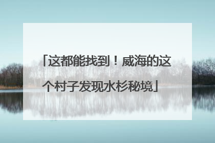 这都能找到！威海的这个村子发现水杉秘境