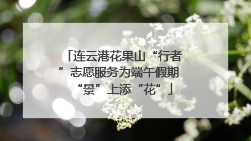 连云港花果山“行者”志愿服务为端午假期“景”上添“花”