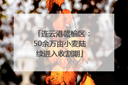 连云港赣榆区：50余万亩小麦陆续进入收割期