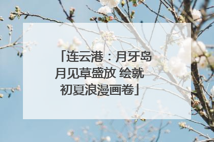 连云港：月牙岛月见草盛放 绘就初夏浪漫画卷