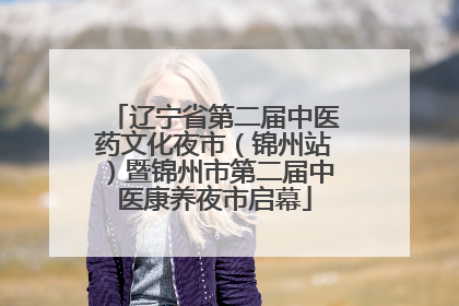辽宁省第二届中医药文化夜市（锦州站）暨锦州市第二届中医康养夜市启幕