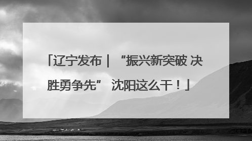 辽宁发布｜“振兴新突破 决胜勇争先” 沈阳这么干！
