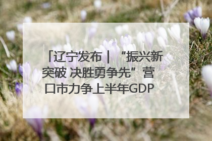 辽宁发布｜“振兴新突破 决胜勇争先”营口市力争上半年GDP增长6%左右
