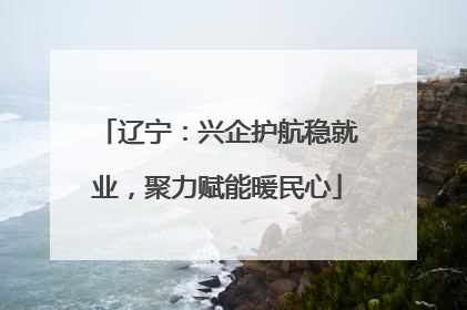 辽宁：兴企护航稳就业，聚力赋能暖民心