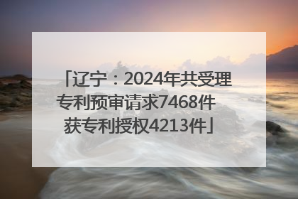 辽宁：2024年共受理专利预审请求7468件 获专利授权4213件