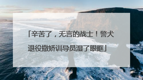 辛苦了，无言的战士！警犬退役撒娇训导员湿了眼眶