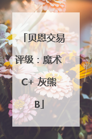 贝恩交易评级：魔术C+ 灰熊B