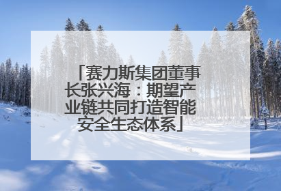 赛力斯集团董事长张兴海：期望产业链共同打造智能安全生态体系