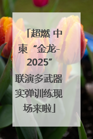 超燃 中柬“金龙-2025”联演多武器实弹训练现场来啦