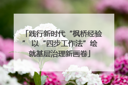 践行新时代“枫桥经验” 以“四步工作法”绘就基层治理新画卷