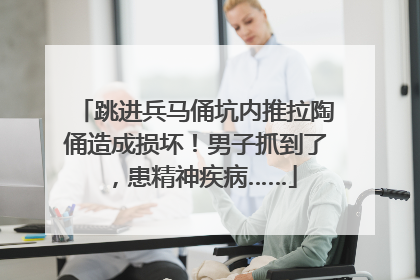 跳进兵马俑坑内推拉陶俑造成损坏！男子抓到了，患精神疾病……