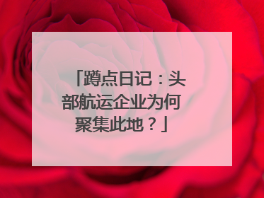 蹲点日记：头部航运企业为何聚集此地？