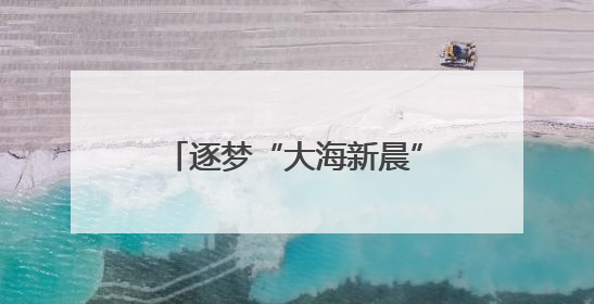 逐梦“大海新晨”——探访泰州不同行业火热的建设场景