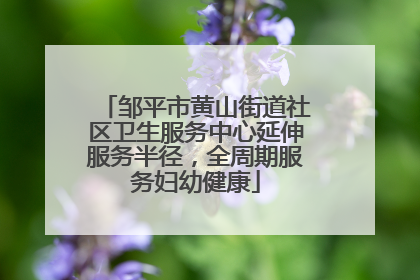 邹平市黄山街道社区卫生服务中心延伸服务半径，全周期服务妇幼健康