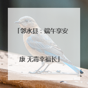 邻水县：端午享安康 无毒幸福长