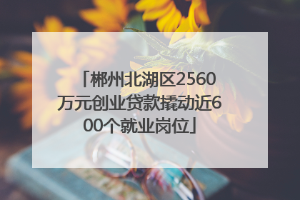 郴州北湖区2560万元创业贷款撬动近600个就业岗位