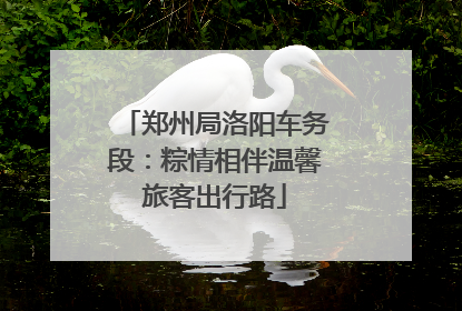 郑州局洛阳车务段：粽情相伴温馨旅客出行路