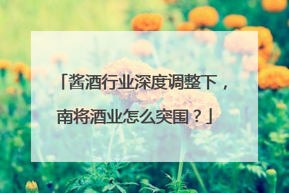 酱酒行业深度调整下，南将酒业怎么突围？