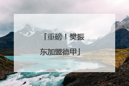 重磅！樊振东加盟德甲