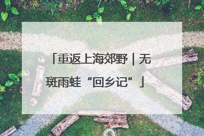重返上海郊野｜无斑雨蛙“回乡记”