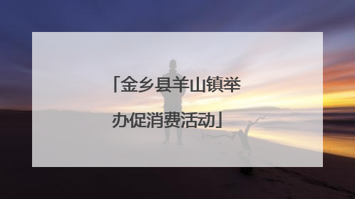 金乡县羊山镇举办促消费活动
