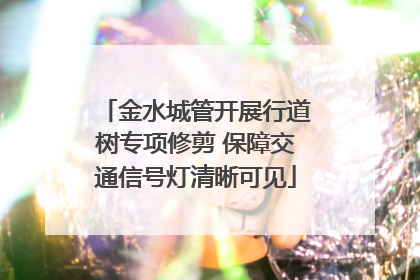 金水城管开展行道树专项修剪 保障交通信号灯清晰可见