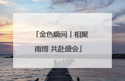 金色瞬间丨相聚南博 共赴盛会