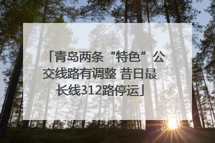 青岛两条“特色”公交线路有调整 昔日最长线312路停运