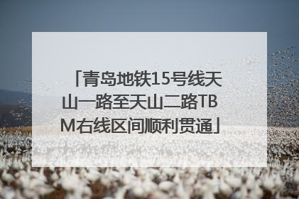 青岛地铁15号线天山一路至天山二路TBM右线区间顺利贯通