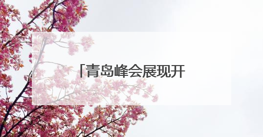 青岛峰会展现开放引力 跨国公司加码投资中国