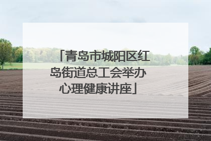 青岛市城阳区红岛街道总工会举办心理健康讲座
