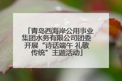 青岛西海岸公用事业集团水务有限公司团委开展“诗话端午 礼敬传统”主题活动