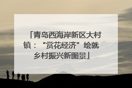 青岛西海岸新区大村镇：“赏花经济”绘就乡村振兴新图景