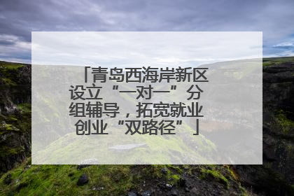 青岛西海岸新区设立“一对一”分组辅导，拓宽就业创业“双路径”
