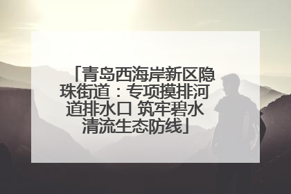 青岛西海岸新区隐珠街道：专项摸排河道排水口 筑牢碧水清流生态防线
