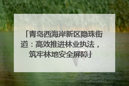 青岛西海岸新区隐珠街道：高效推进林业执法，筑牢林地安全屏障