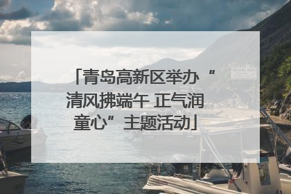 青岛高新区举办“清风拂端午 正气润童心”主题活动