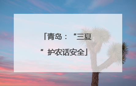 青岛：“三夏”护农话安全