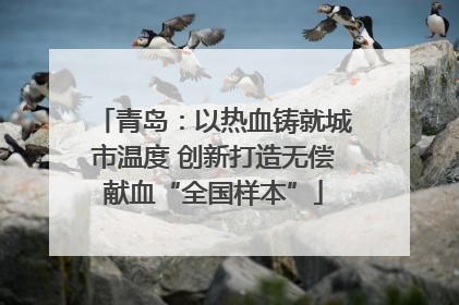 青岛：以热血铸就城市温度 创新打造无偿献血“全国样本”