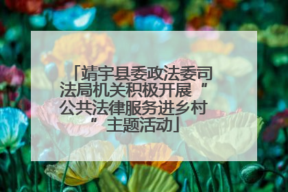 靖宇县委政法委司法局机关积极开展“公共法律服务进乡村”主题活动