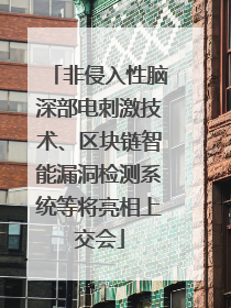 非侵入性脑深部电刺激技术、区块链智能漏洞检测系统等将亮相上交会