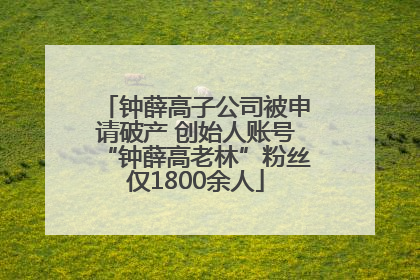 钟薛高子公司被申请破产 创始人账号“钟薛高老林”粉丝仅1800余人