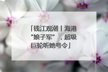 钱江观潮丨海港“娘子军”，超级巨轮听她号令