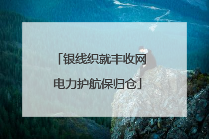 银线织就丰收网 电力护航保归仓
