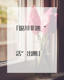银川非遗“活”出圈
