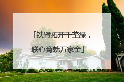 铁臂拓开千垄绿，联心育就万家金