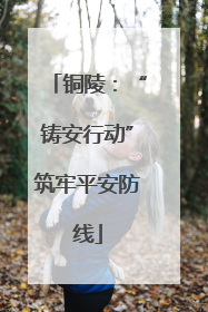 铜陵：“铸安行动”筑牢平安防线